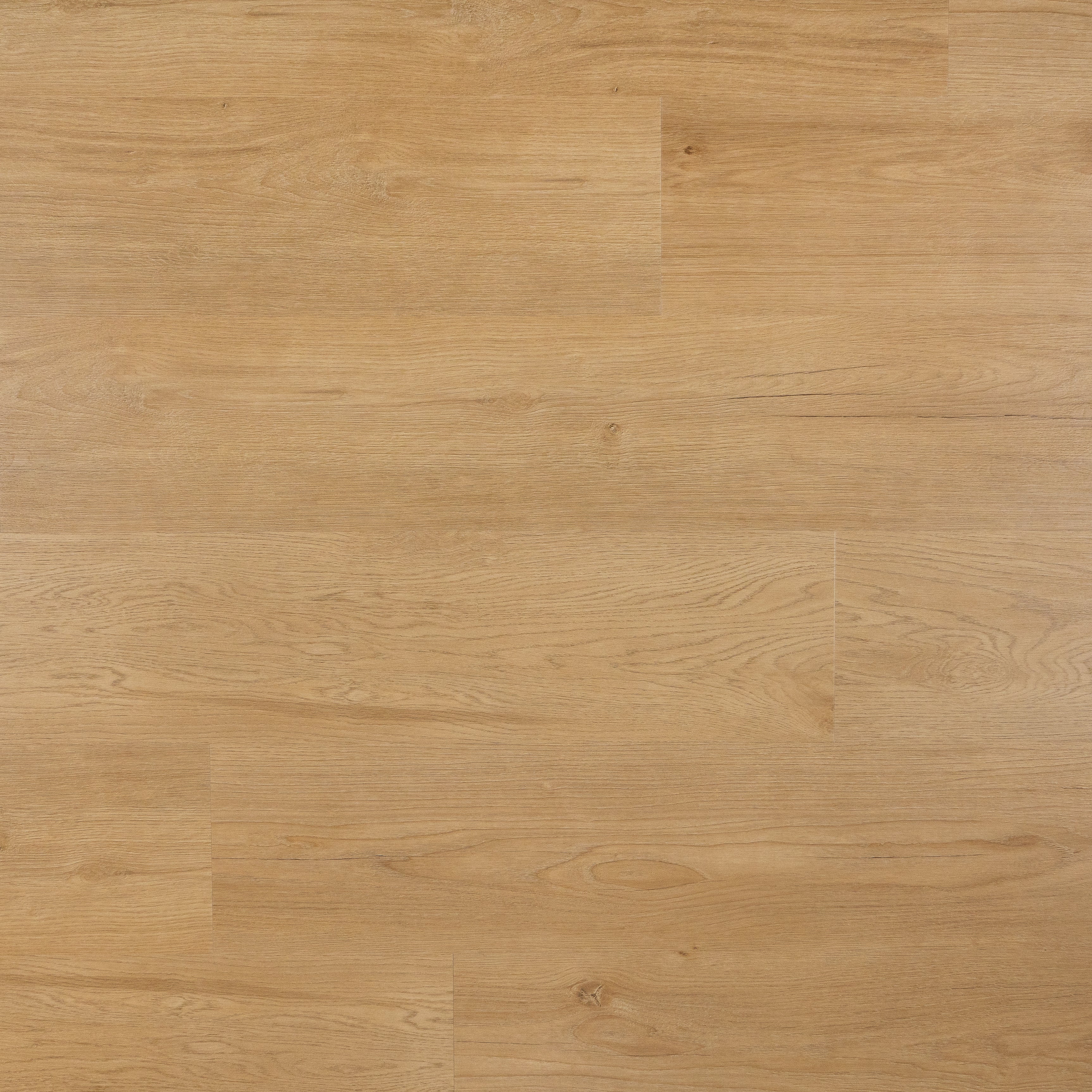 Otium Hammam– Stijlvolle stroken SPC vloer verkrijgbaar bij XL Woonwinkel, 100% waterbestendig, geschikt voor vloerverwarming en voorzien van een geïntegreerde ondervloer.