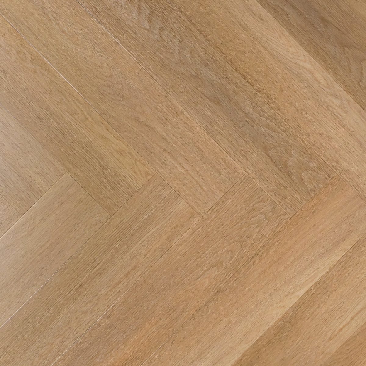 Otium Hibiscus Herringbone – Stijlvolle visgraat SPC vloer verkrijgbaar bij XL Woonwinkel, 100% waterbestendig, geschikt voor vloerverwarming en voorzien van een geïntegreerde ondervloer.