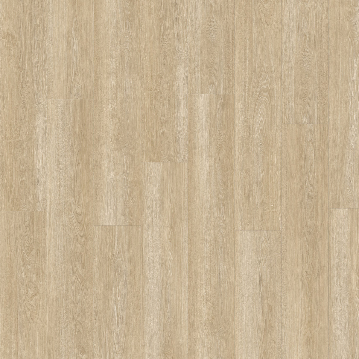 Beautifloor Drenthe Borger click pvc – vloerbeeld