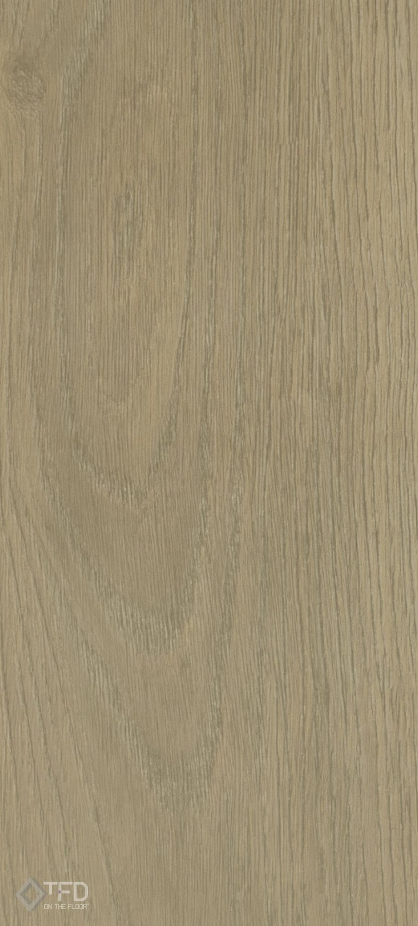 Kop van Zuid Plank Dryback - XL Woonwinkel